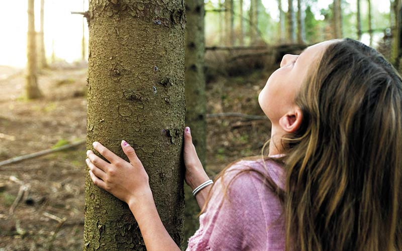 Fibre di legno per vivere sano - Mission