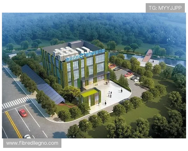 k8凯发·娱乐(中国)首页登录入口：用户登录安全保障措施与账号保护技巧