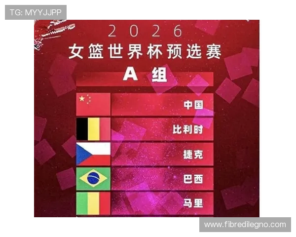 2026年女篮世界杯预选赛分组对非洲和美洲球队晋级策略的指导建议